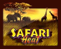 game-safari-heat
