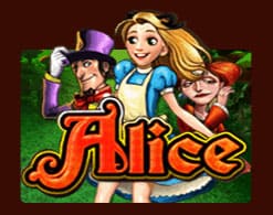 alice-pussy888 alice-pussy888