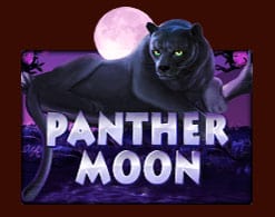 panthermoon-pussy888