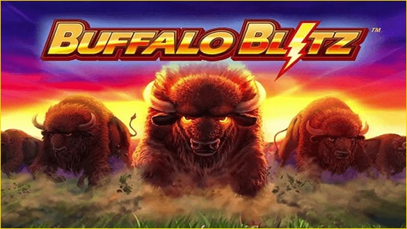 เกม-buffalo-blitz-pussy888-01