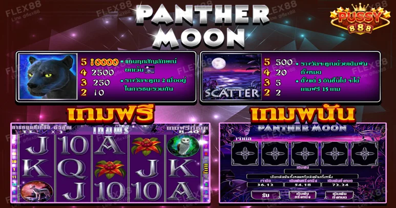 Pussy888 เกมฟรี เกมพนัน สัญลักษณ์เสือดำ สัญลักษณ์ทะเลตอนกลางคืน Panther Moon(1)