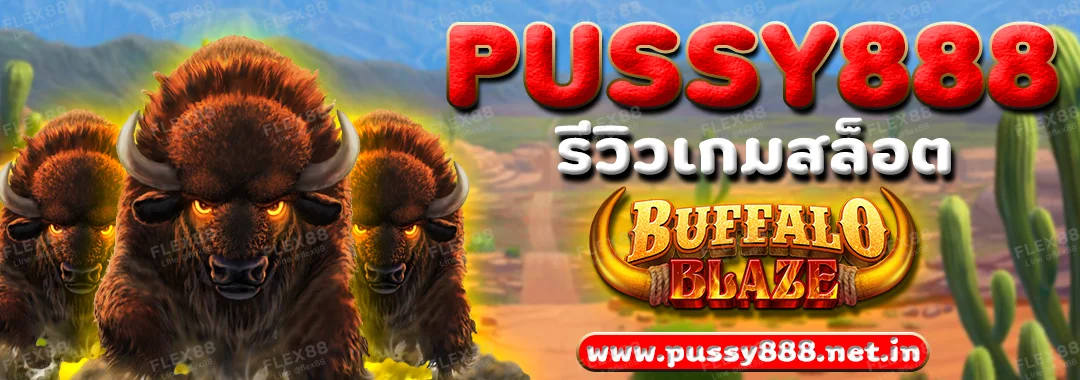 Pussy888 รีวิวเกมสล็อต Buffalo Blaze