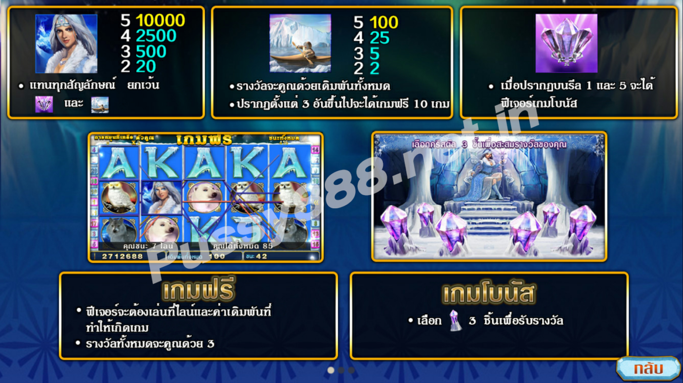 รีวิวเกม Arctic treasure