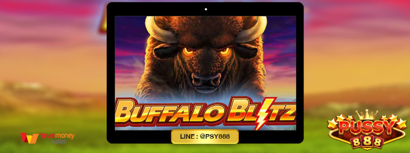 รีวิวเกม Buffalo Blitz