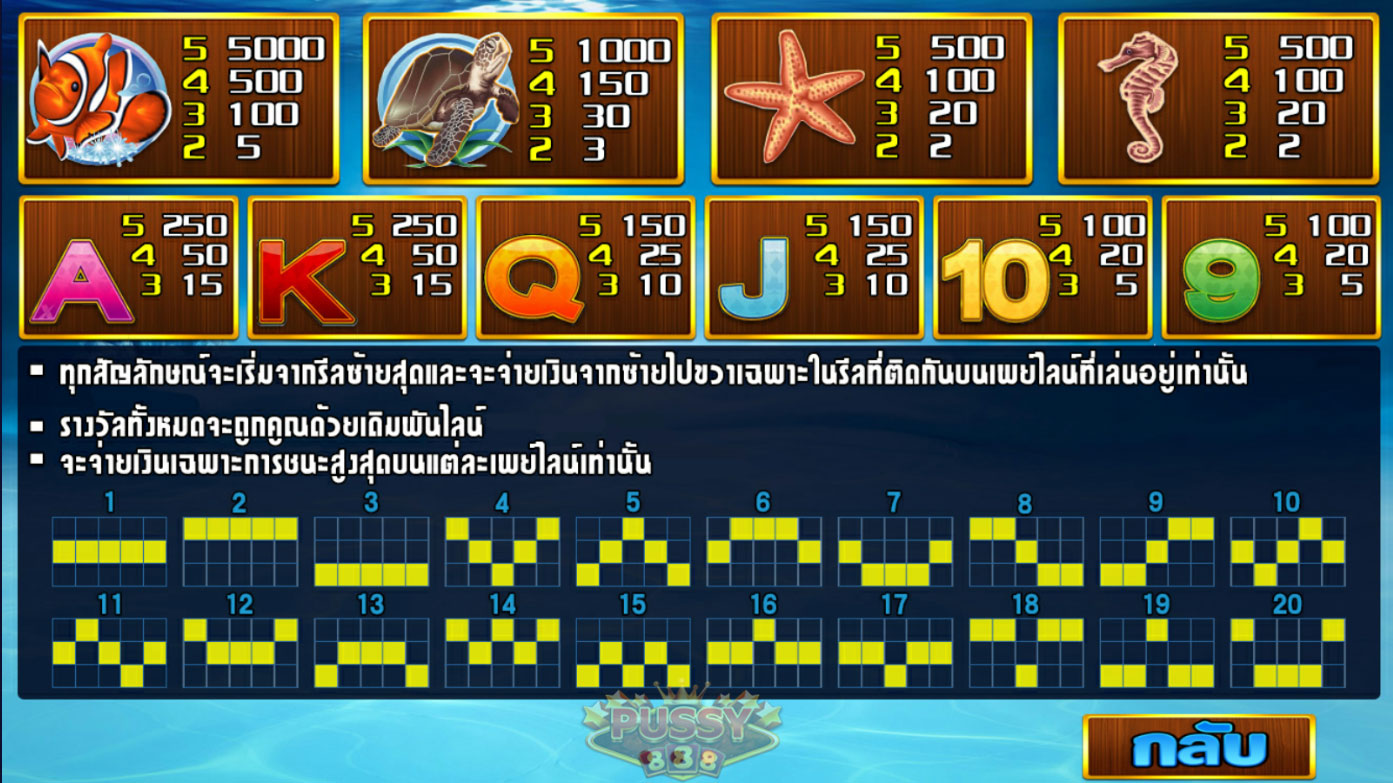 รีวิวเกม Dolphin Reef ทดลองเล่นฟรี