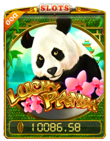 Lucky Panda