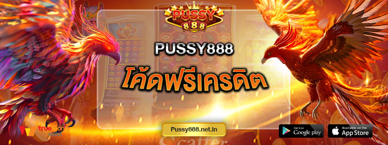 Pussy888 โค้ดฟรีเครดิต